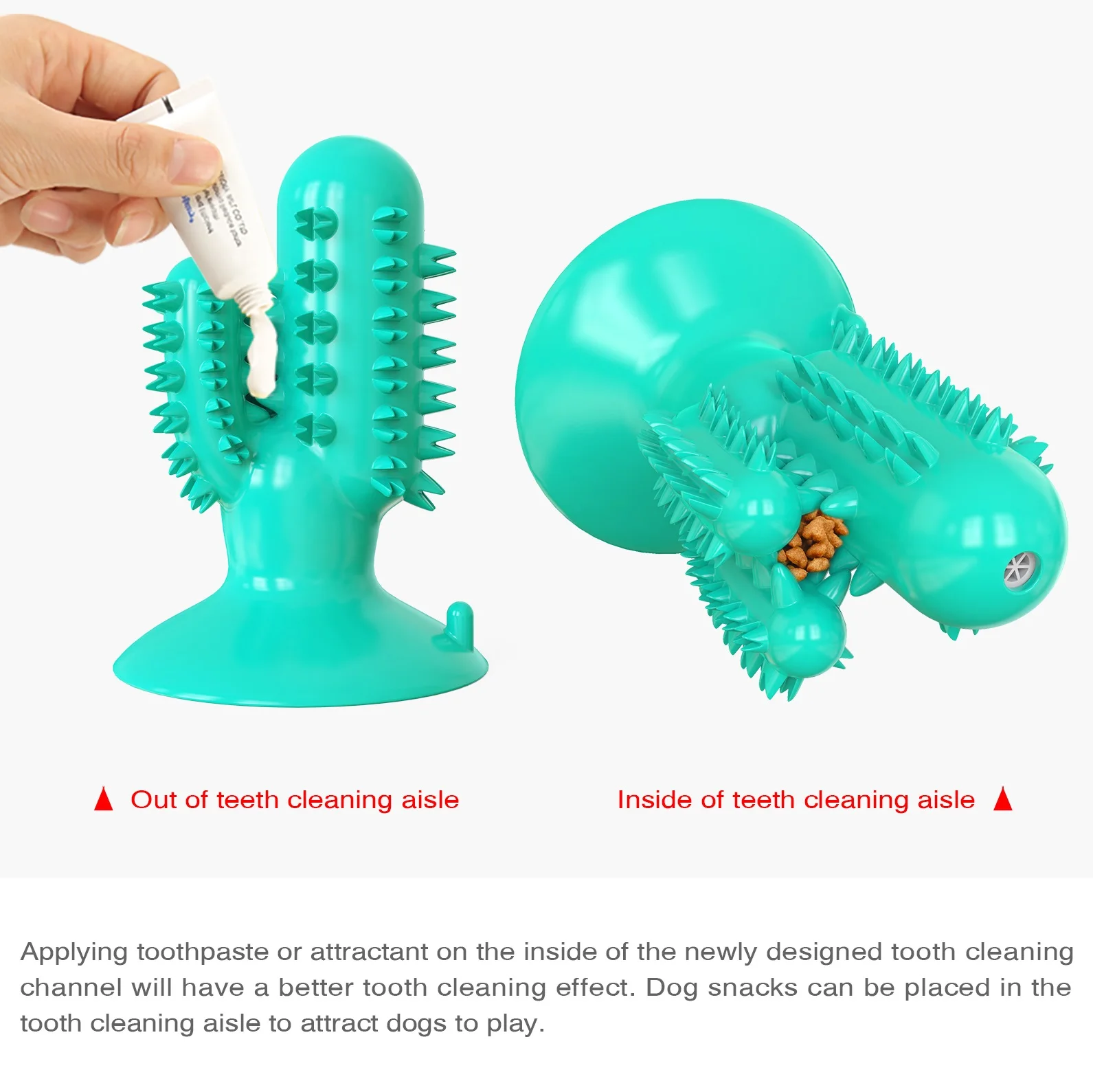 

loating pet molars on Water Dog Toy squeak dog toothbrush