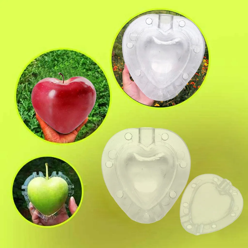 Пластиковая форма для выращивания фруктов в форме сердца Прозрачная инструменты