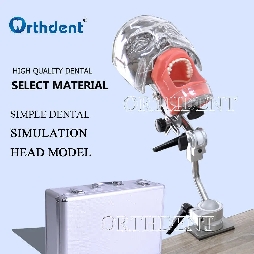 

Dental Training Head Model Simulator Practise Manikins Phantom Models with New Style Bench Mount Dentistry Teaching Exercise