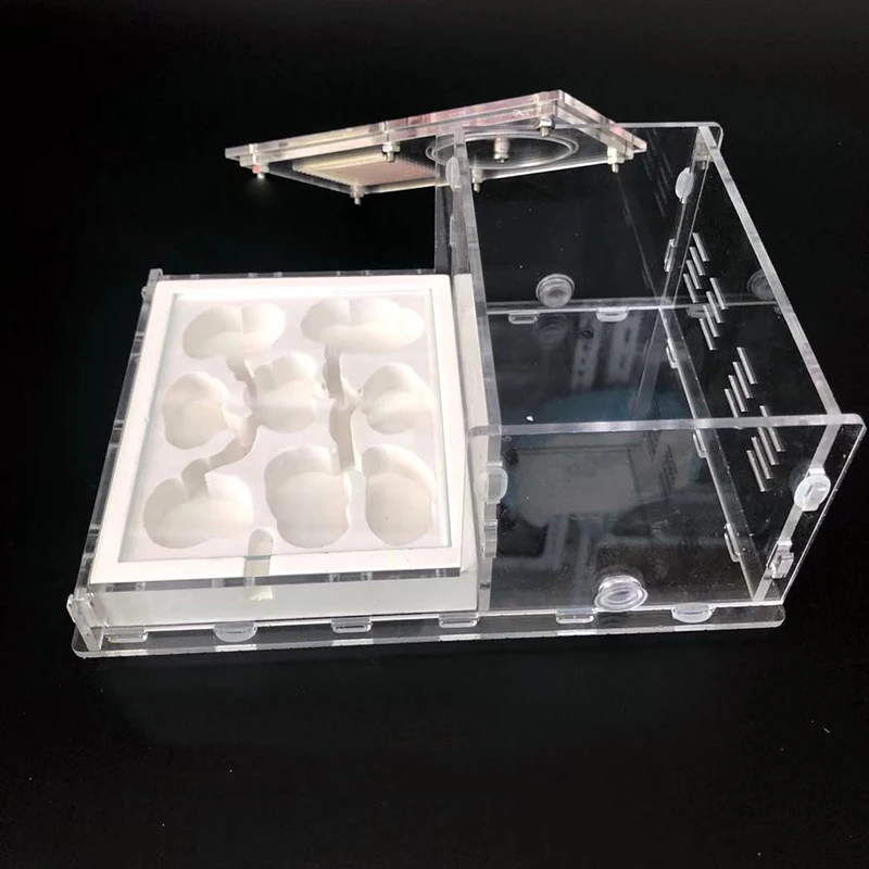 Прозрачное Муравьиное гнездо гипсовое муравьиная вилла акриловое плоское для