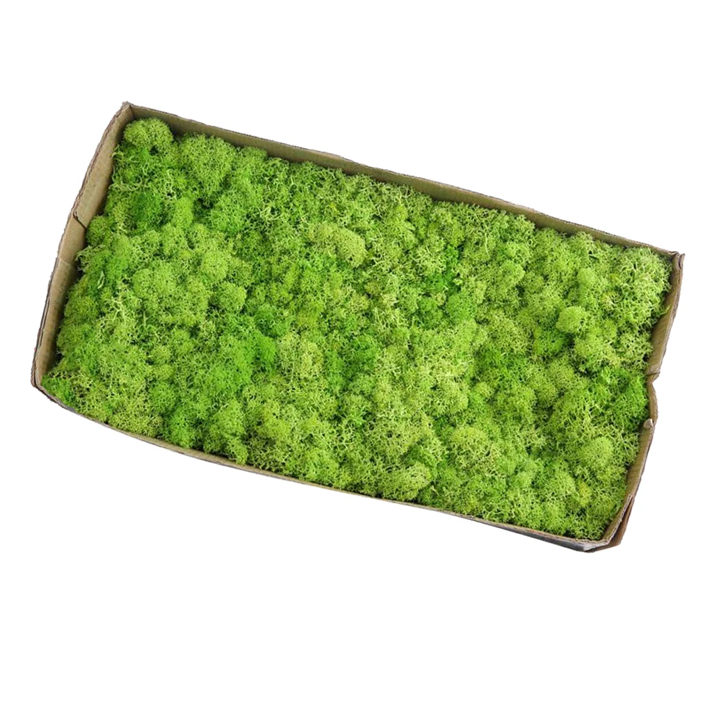 Натуральный Норский олень мох сохраняемый сушеный цветок для цветов трава