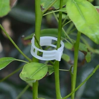 100pcs plastic tomota clips plant support clips hanging trellis viine connects protection grafting gardening for vegetable