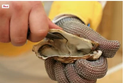 Оптовая продажа! Oyster перчатки средневековые анти нож ручная