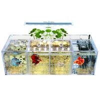 aquarium pet betta fish tank acrylic transparent isolation free water pump filters clear bucket fish tank desktop led light