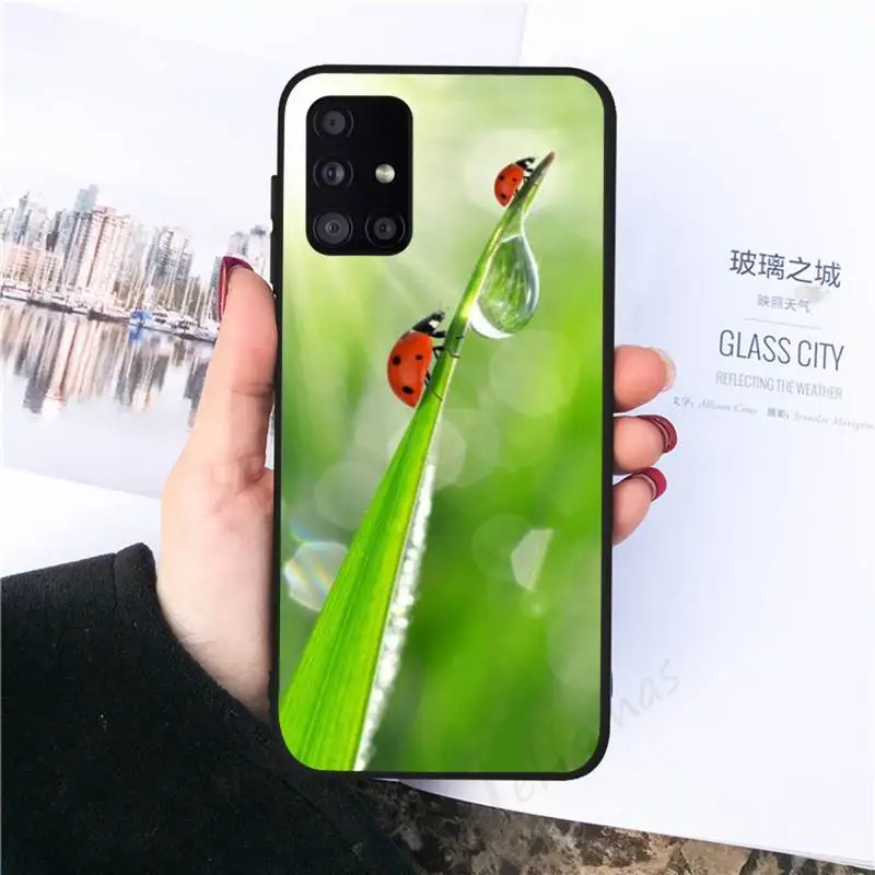 

four leaf ladybug daisy Phone Case black For Samsung galaxy S 21 20 10 8 A 51 71 50 21s 70 40 20 20e note 10 plus Ultra 5g fe