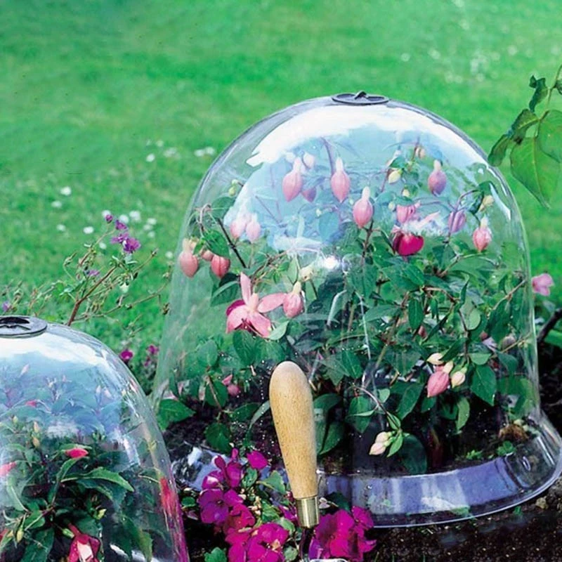 

2Pcs Seedling Insect Prevention Garden Tool Succulent Outdoor Transparent Plant Cover Frost Protection Nursery