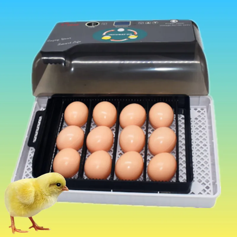 Инкубатор 60 яиц | Канцтовары для офиса и дома