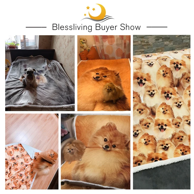 BlessLiving Golden Pomeranian Sherpa Blanket on Beds Dog Collection Throw Blanket for Kids Animal Dog Soft Bedspreads manta 4