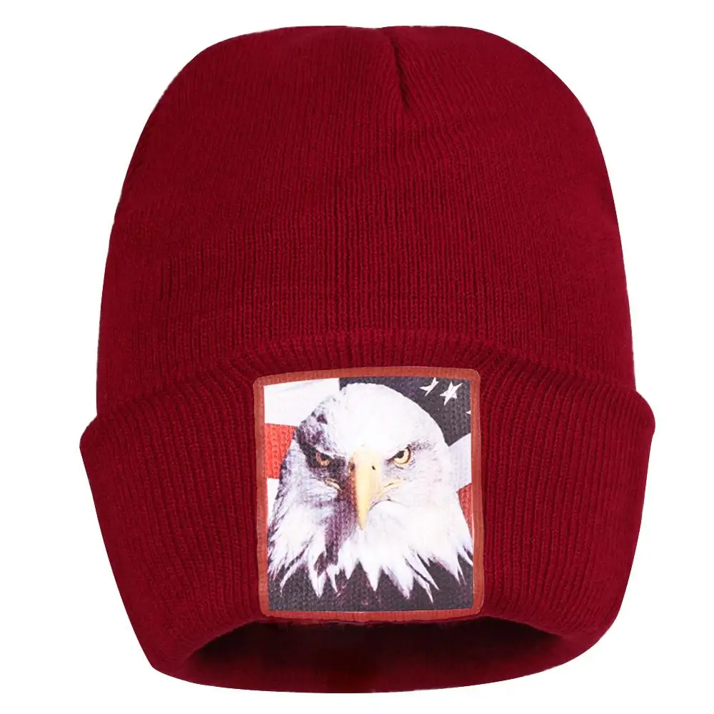 Зимние шапки Американский лысый орел Beanies женские вязаные с манжетами облегающая