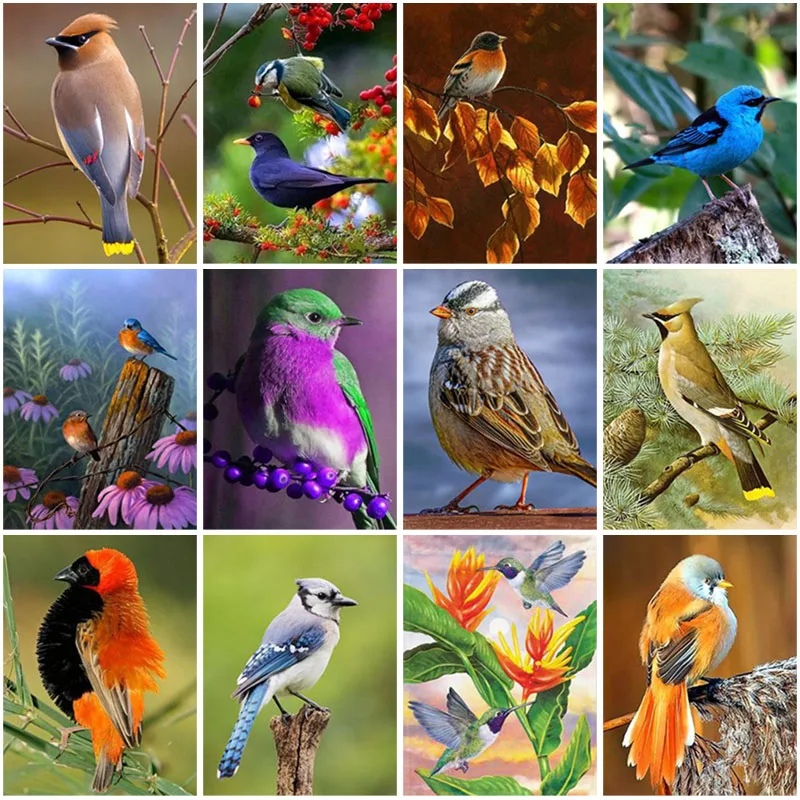 

DIY Birds 5D Diamond Painting Full Square Drill Flower Bird Diamond Embroidery Cross Stitch Kit Resin Wall Art Home Decor Gift