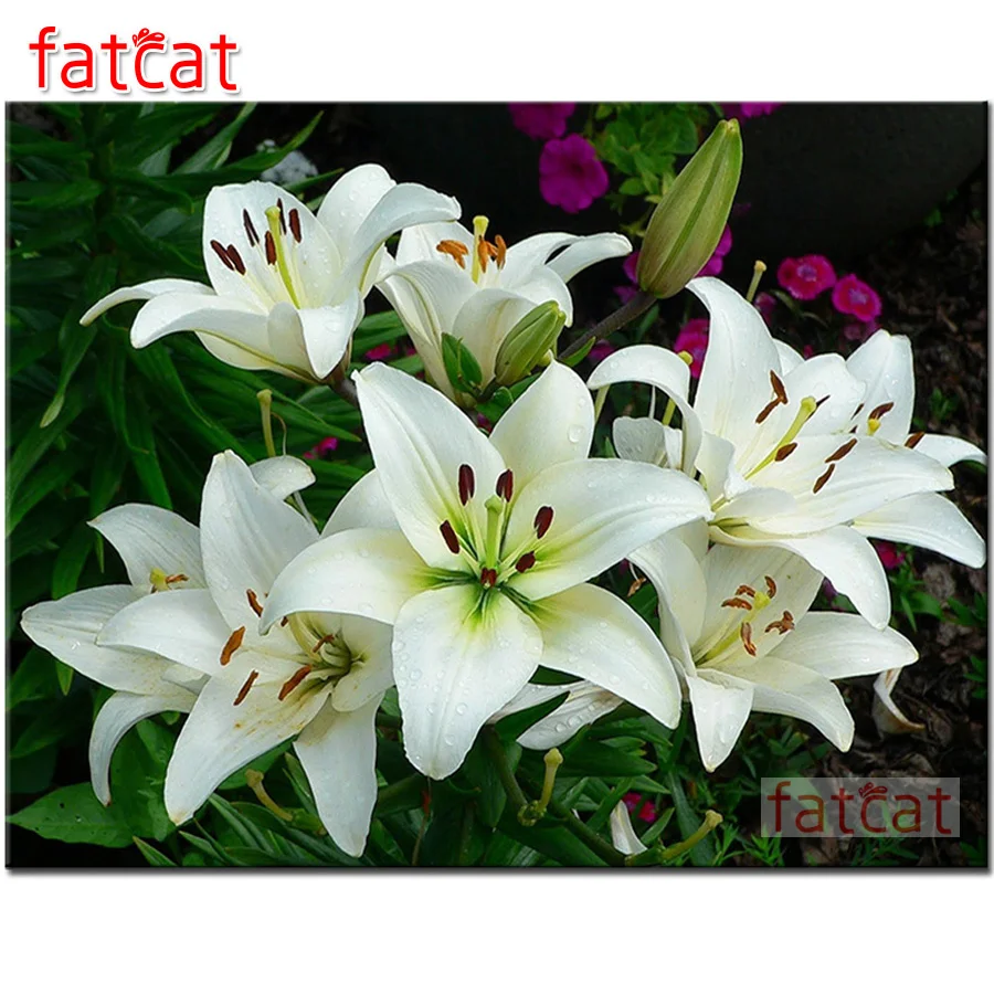 FATCAT цветы лилии 5d алмазная живопись своими руками полная квадратная круглая