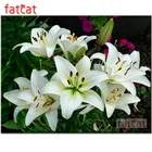 FATCAT цветы лилии 5d алмазная живопись своими руками полная квадратная круглая дрель Алмазная вышивка наборы рукоделие украшение для дома AE2833