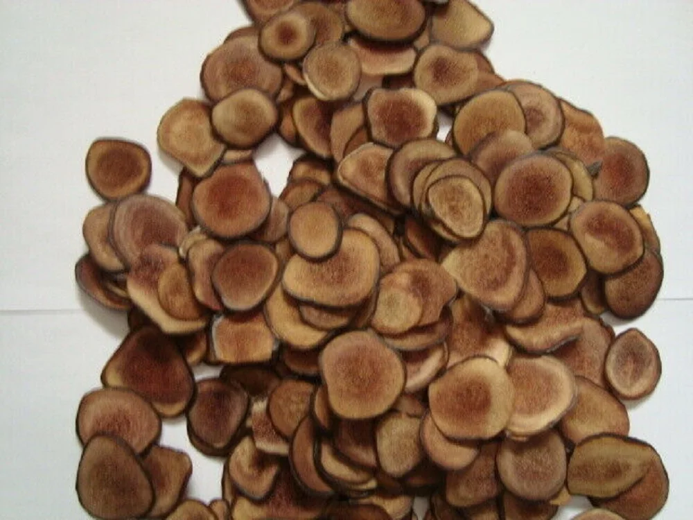 

1 Lb High Quality Young Deer Antler,Top Quality Lu Rong