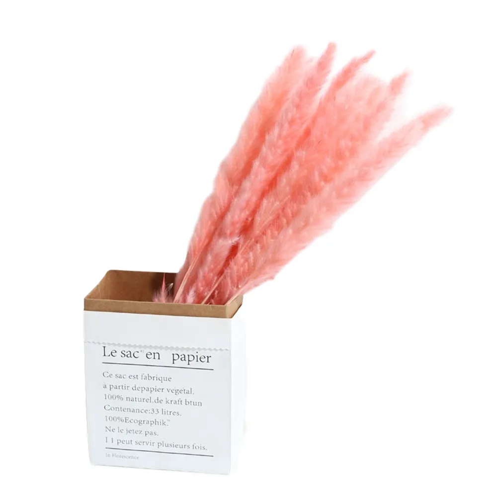 

2021 New Arrival Hot Sale 20pcs Decor Wedding Home Small Pampas Reed Grass Dried Natural Colors 3 Bouquets Phragmites Flowers