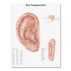 Плакаты WANGART с анатомическими диаграммами, акупунктурные уши, анатомический плакат, холст, настенные картины для медицинского образования