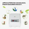 Изображение товара 5