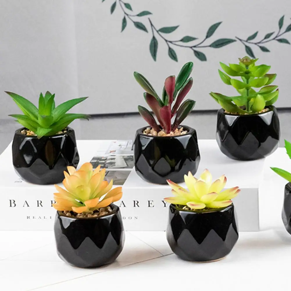 

Fashion Easy Care Everlasting Natural Table Decor Artificial Succulents Bonsai Fake Plants Artificial Plant