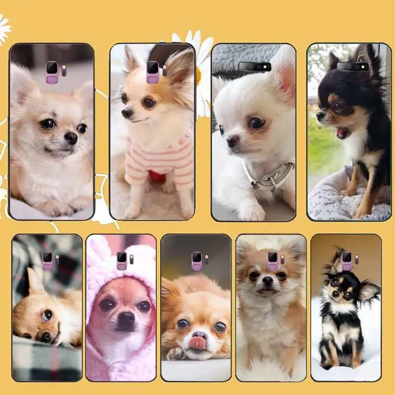 

Chihuahua dog cute animal Phone Case For Samsung galaxy A S note 10 7 8 9 20 30 31 40 50 51 70 71 21 s ultra plus