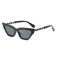 2021 new cat eye sunglasses european and american trend paint chain sunglasses woman