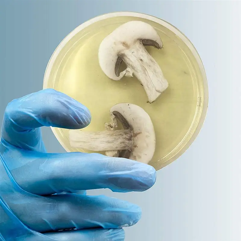 

10 шт., одноразовые Агаровые тарелки R2A, средние Агаровые тарелки R2A, оборудование для биологического определения (вакуумная упаковка)