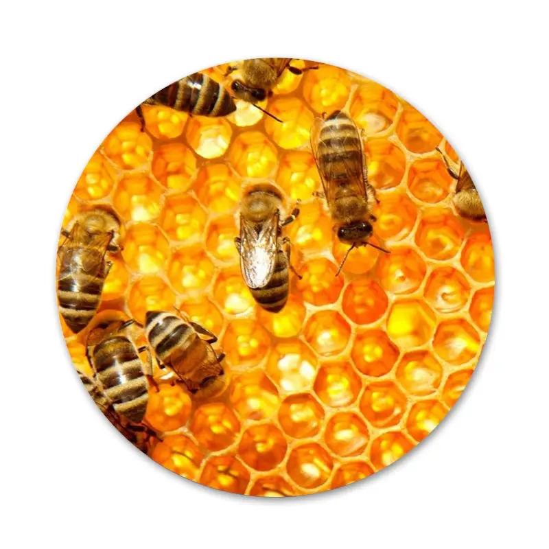Золотой Honeycomb медоносной пчелы значок на булавке декоративные Броши