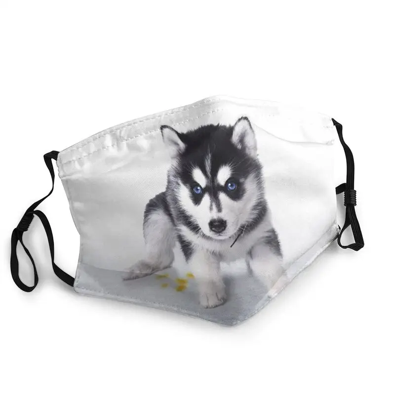 

Siberian Husky Mask Dustproof Non-Disposable Funny Alaskan Malamute Dog Face Mask Protection Unisex Respirator Mouth Muffle