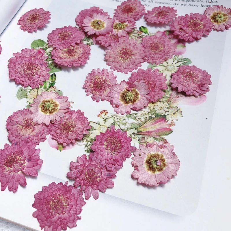 

120 Pcs Dried Flowers Purple Chrysanthemum UV Resin Decorative Natural Flower Stickers Epoxy Mold 3D Dry Beauty Decal