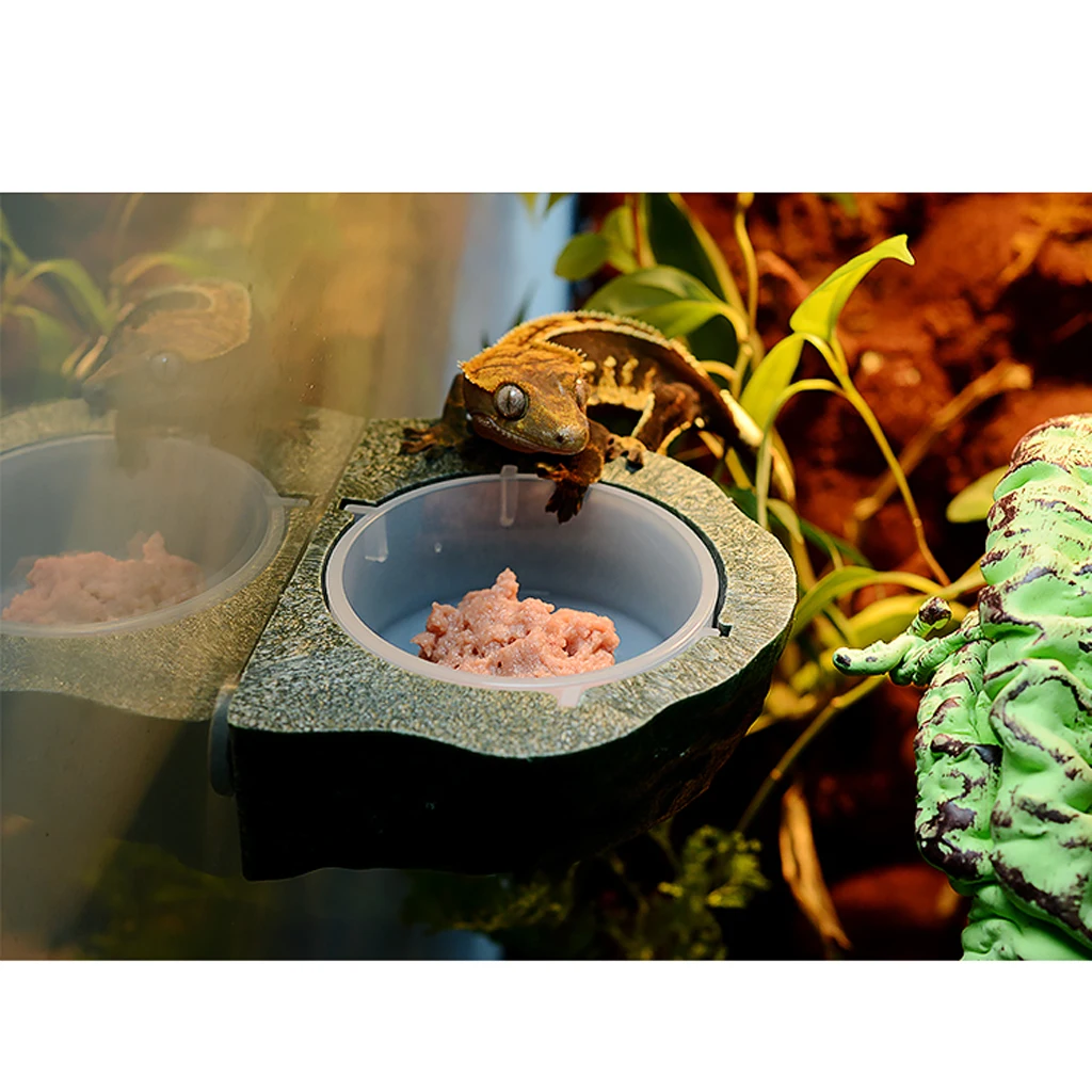 Gecko Earth Ledge Magnet Hanging Feeder Bowl Reptile Terrarium Decorations Drinker Accessories Feeding Accessories