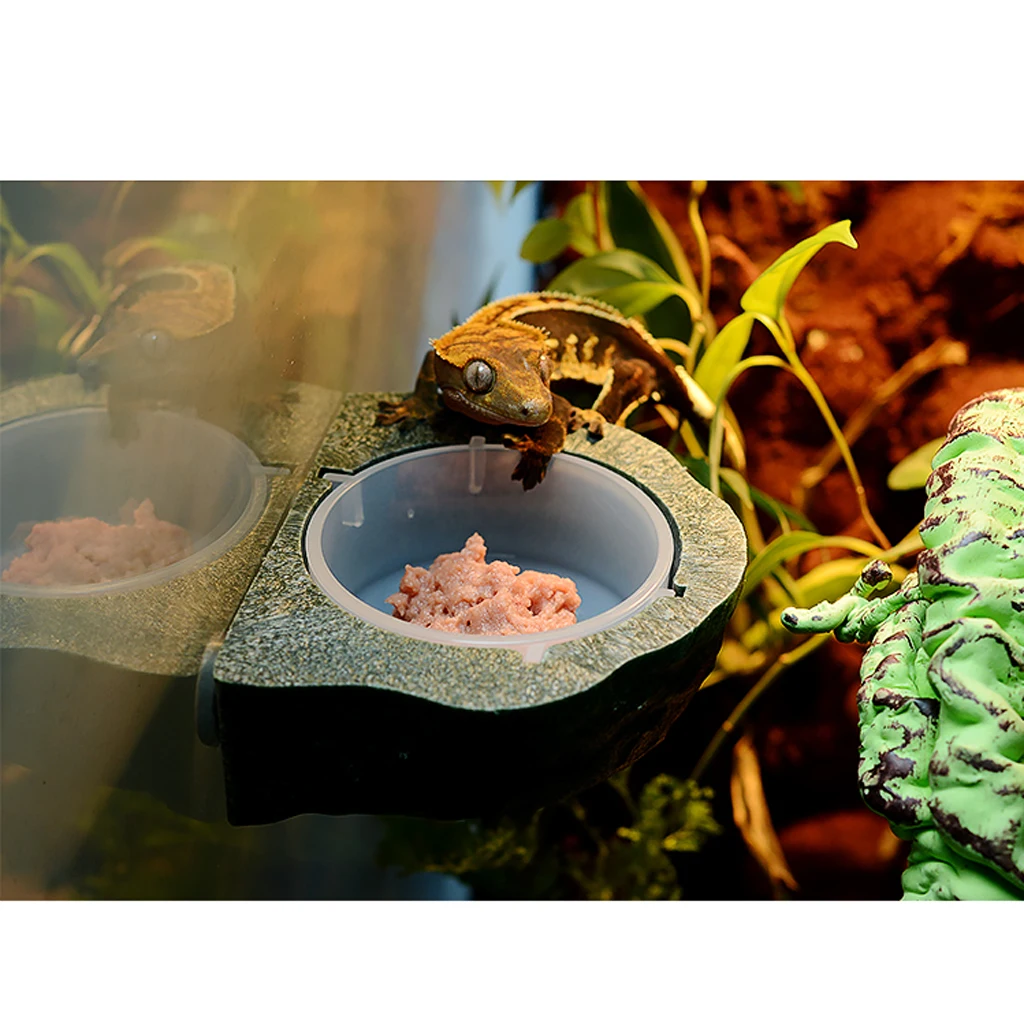 

Gecko Earth Ledge Magnet Hanging Feeder Bowl Reptile Terrarium Decorations Drinker Accessories Feeding Accessories