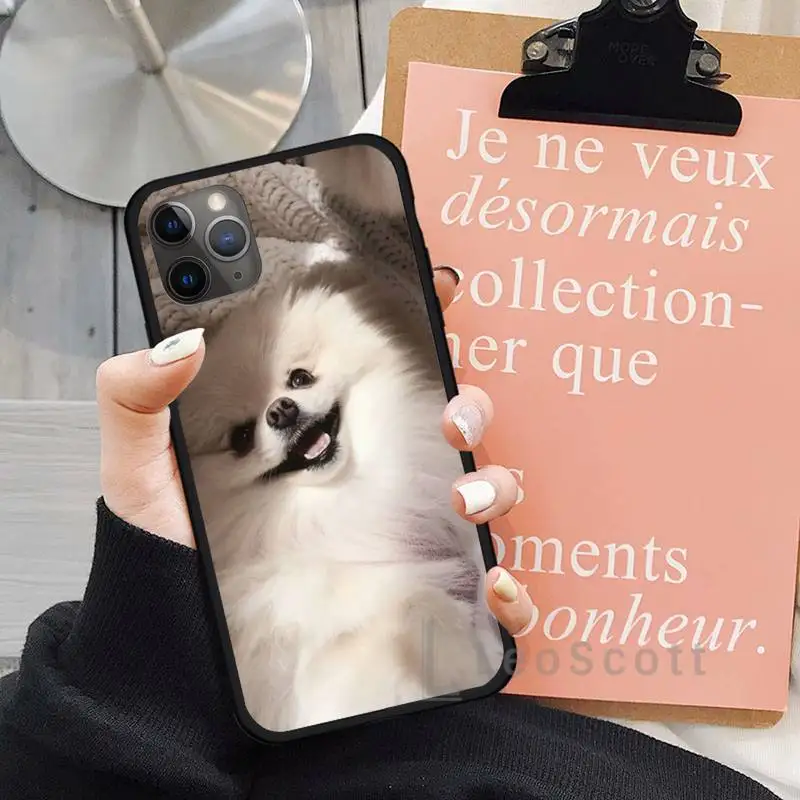 

Pomeranian dogs dog Phone Case for iPhone 11 12 mini pro XS MAX 8 7 6 6S Plus X 5S SE 2020 XR