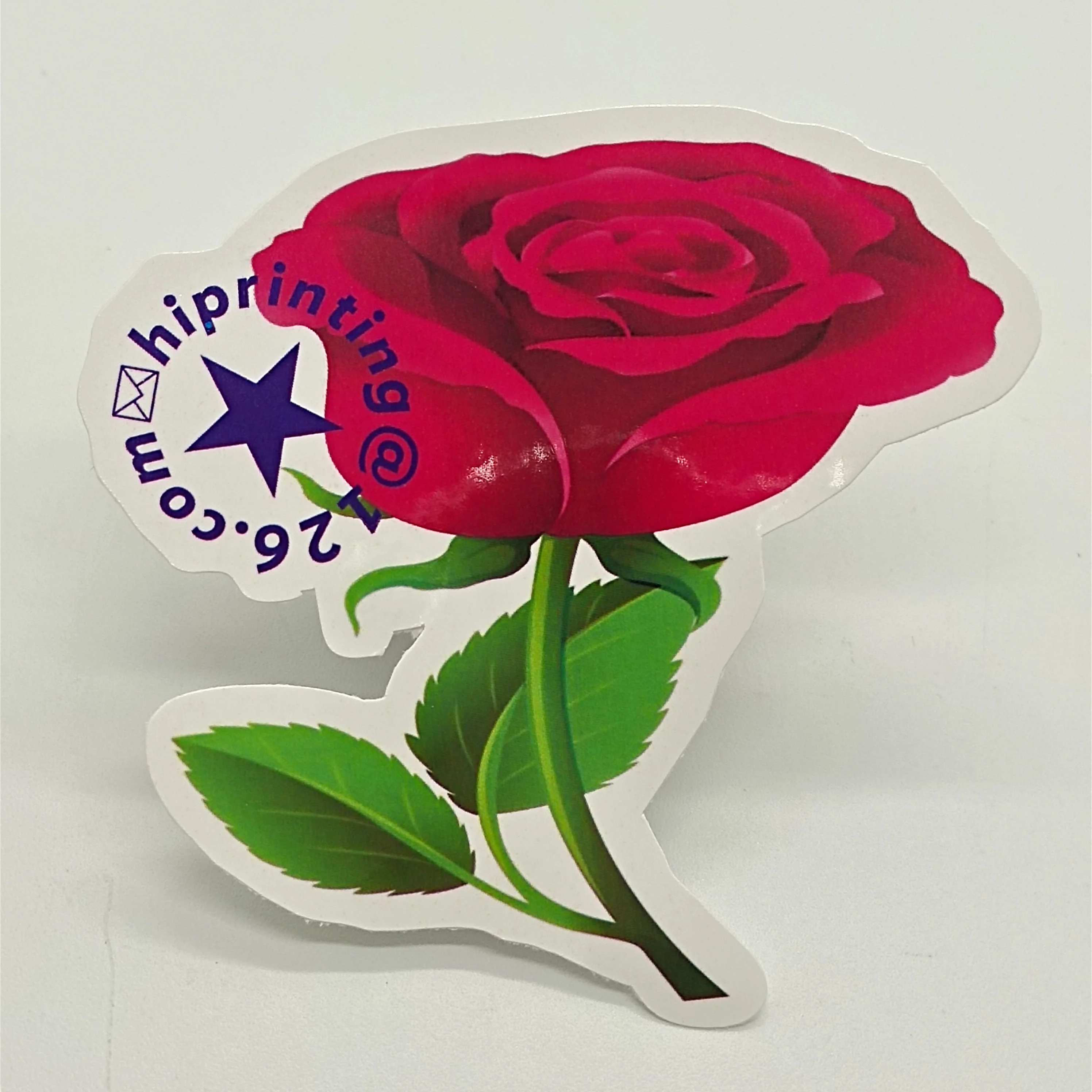 

Custom Printed Waterproof Adhesive Logo Label Sticker
