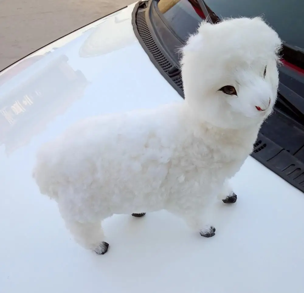 

new simulation Alpaca model polyethylene&furs real life sheep doll gift about 25x25cm xf2885