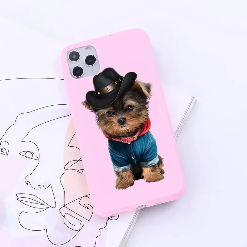 

Yorkshire terrier dog Newest Fashion Novelty Phone Case Candy Color for iPhone 6 7 8 11 12 s mini pro X XS XR MAX Plus