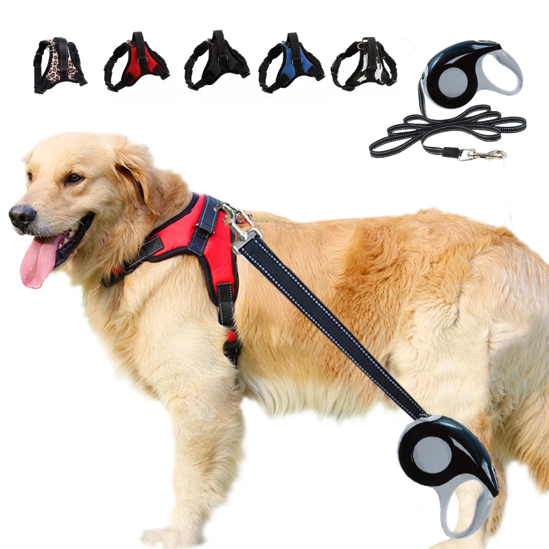 Шлейка ошейник для больших и маленьких собак нейлоновый Мягкий регулируемый