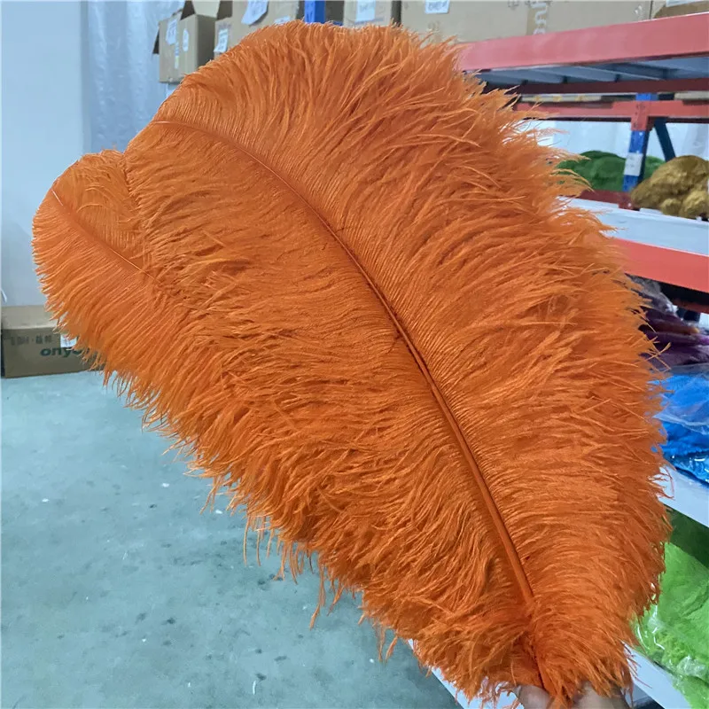 

10pcs/lot High Quality Ostrich Feather Orange 26-28inches/65-70cm Decoration Jewelry Supplies Feathers for Crafts