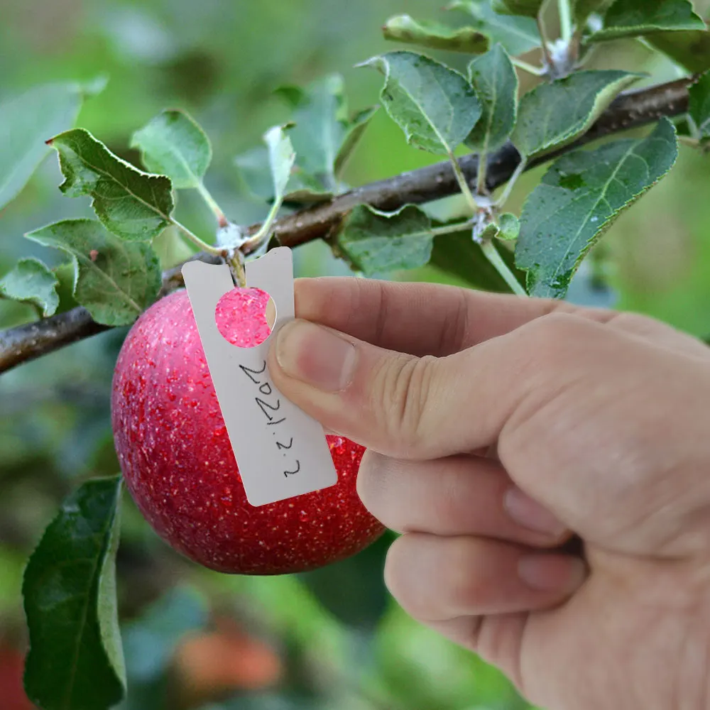 100pcs Garden Plant Hanging Label Tag Waterproof Plastic Seed Name Card Marker Sign Board Multifunction Flower Seeding | Дом и сад