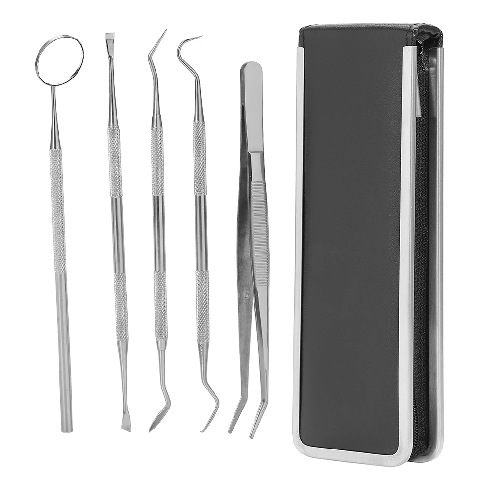 

5 Pcs Black Leather Case Packaging Professional Stainless Steel Dentist Explorer Probe Set Teeth Clean Hygien Examination Tool