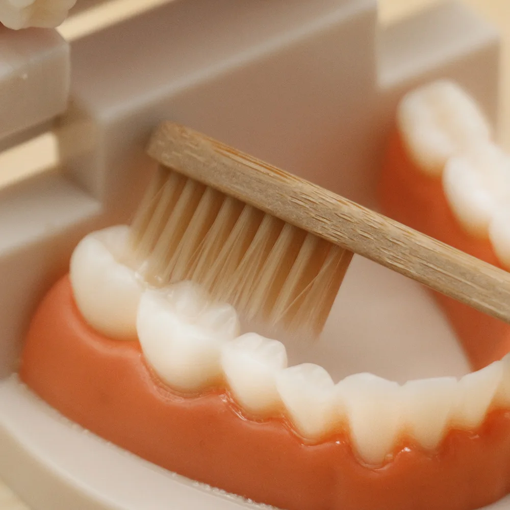 Montessori Teaching Aids Tooth Toy Simulated Teeth Brushing Card Practice Life Skill Brush with Woode Trsy D1586F | Игрушки и хобби