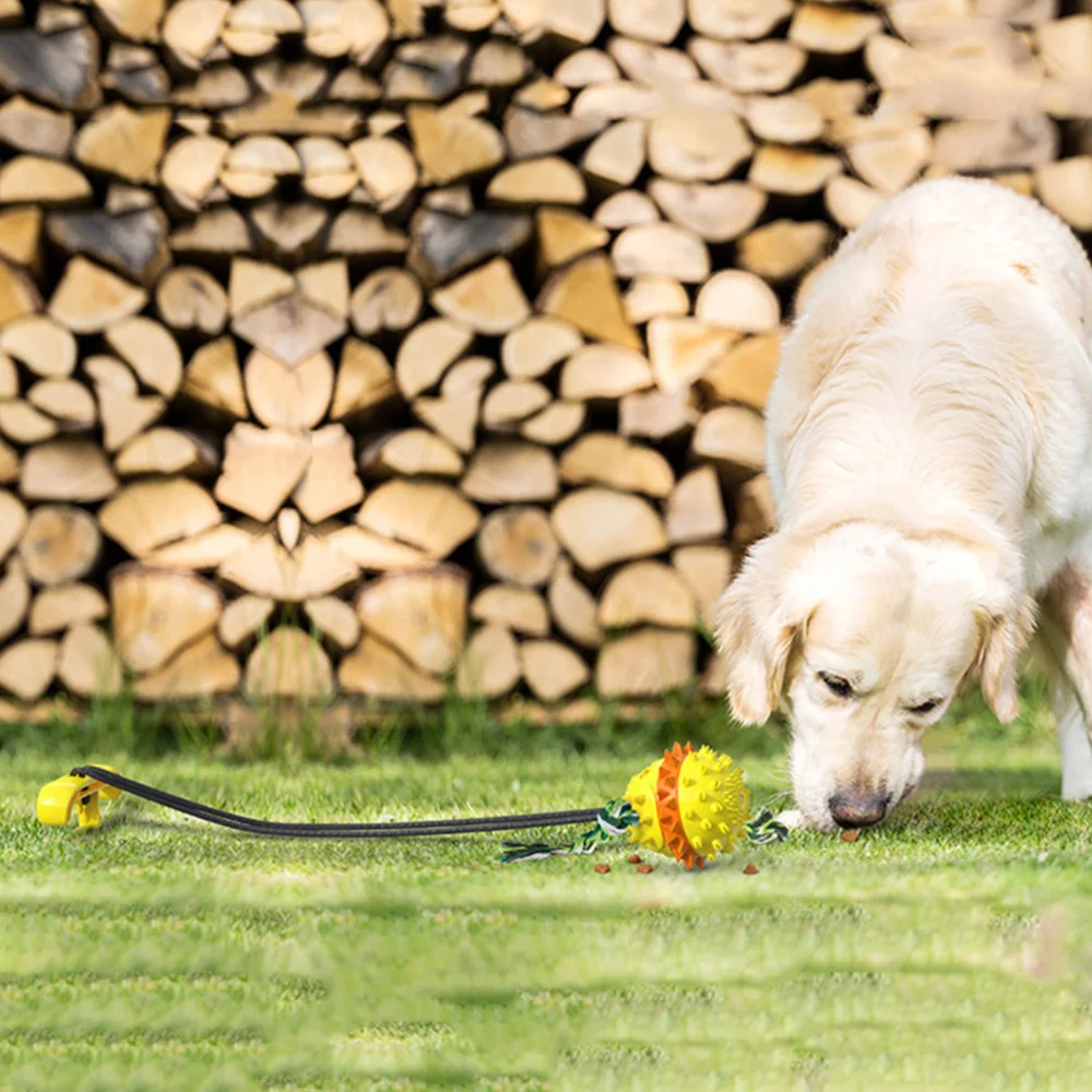 

Dog Molar Squeaky Bouncing Treat Outdoor Interactive Dog