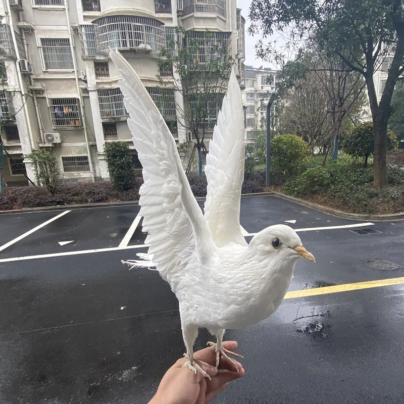 Голуби монахи. Майкопские бойные голуби стандарт. Голубятник в доме крышах. Памятник голубям в брюсселе. Белый голубь.