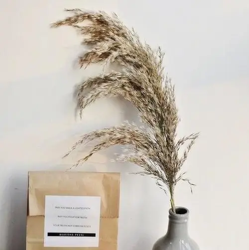 

dried flowers bunch feather flowers natural free shipping10/20pcs pampas grass decor plants home wedding decor