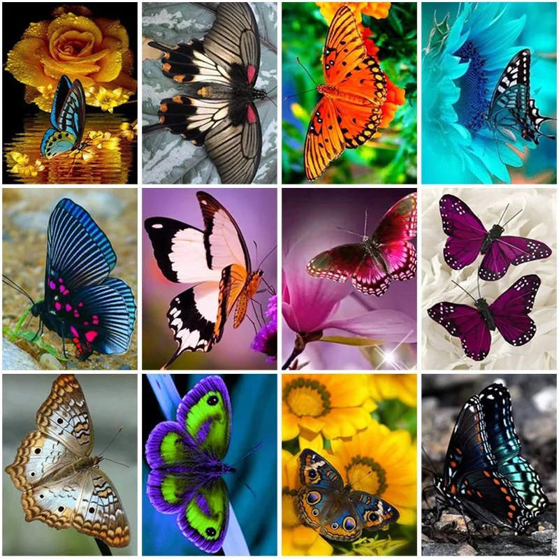 

5D DIY Diamond Painting Full Square Drill Butterfly Animal Diamond Embroidery Cross Stitch Kits Handicraft Wall Art Home Decor