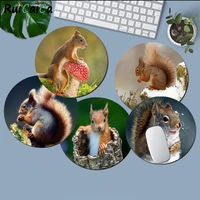 ruicaica hot sales animal squirrel unique desktop pad game lockedge mousepad gaming mousepad rug for pc laptop notebook
