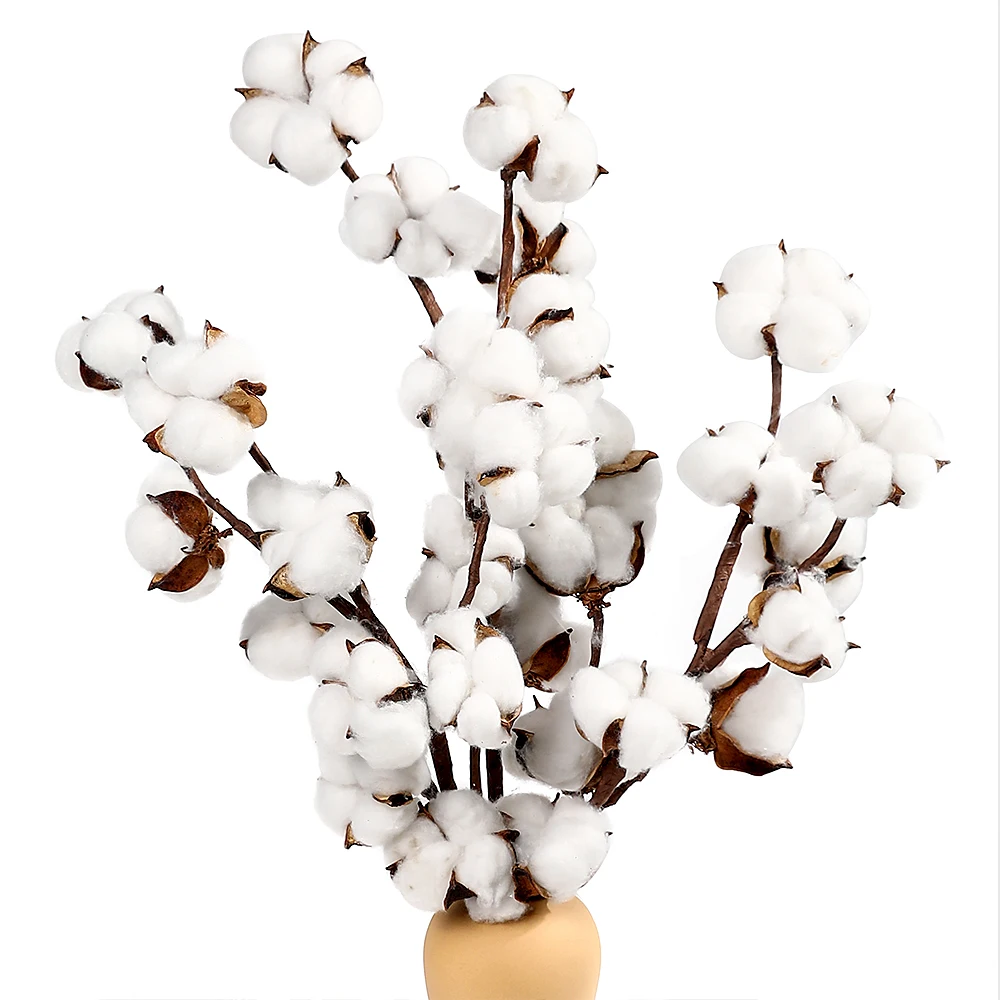 

4/6/10Head Dried Cotton Heads Branches Dry Cotton Ball Stalks Natural Rustic Home Decor Centerpiece Cotton Christmas Door Wreath