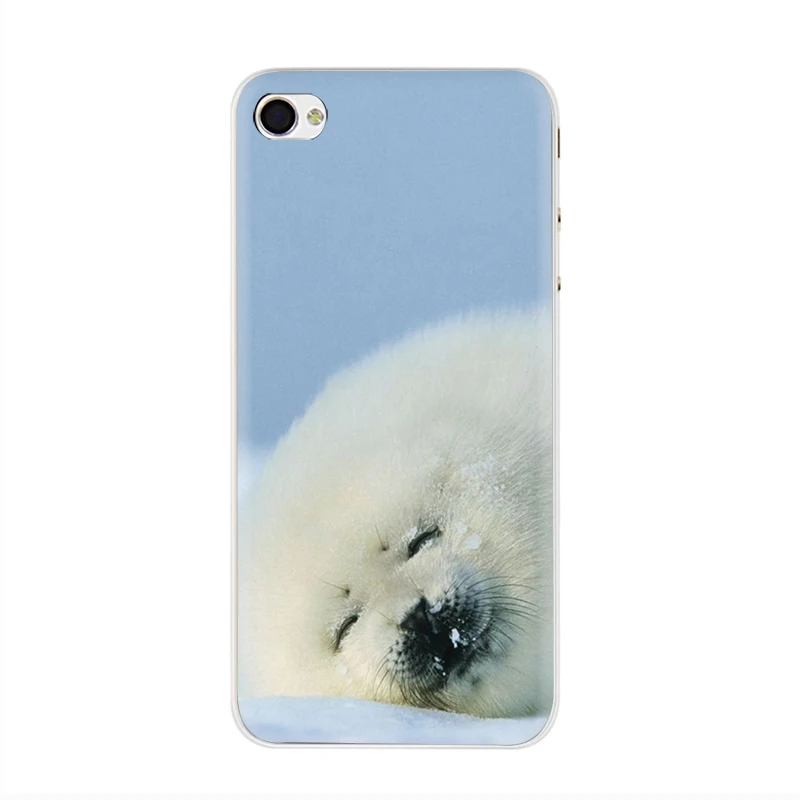 H1 Жесткий чехол для телефона EWAU Baby harp Seal Sea Lion чехол для iPhone 5 5S SE 5C 6 6s Plus 7 8 Plus X XR XS 11 Pro MAX - Цвет: H1
