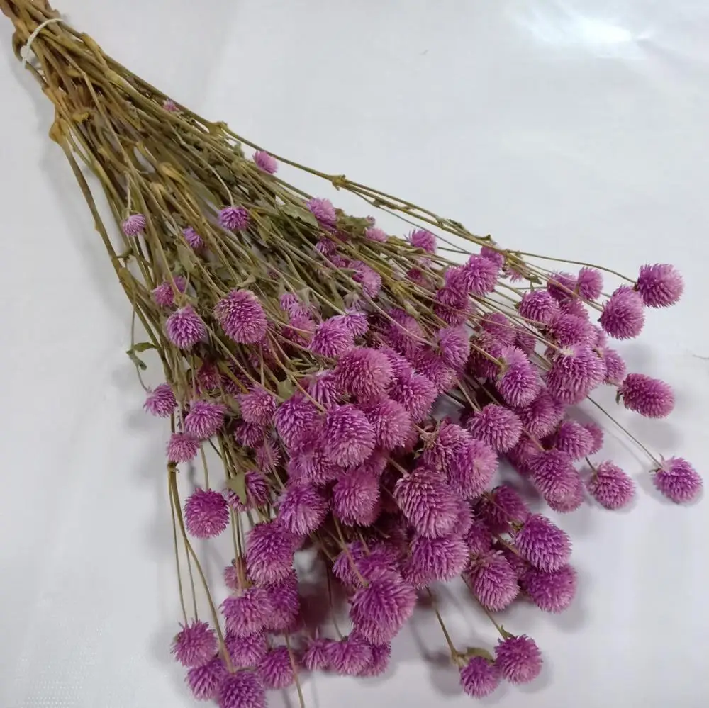 Высушенный шар Dongliflower цветок амаранта сохраненный натуральный белый розовый