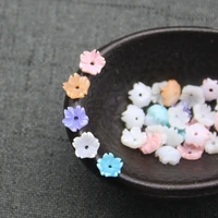 1pc natural freshwater shell flower 6mmdyed bauhinia bowl flower jewelry making diy necklace earrings hairpin jewelry accessorie