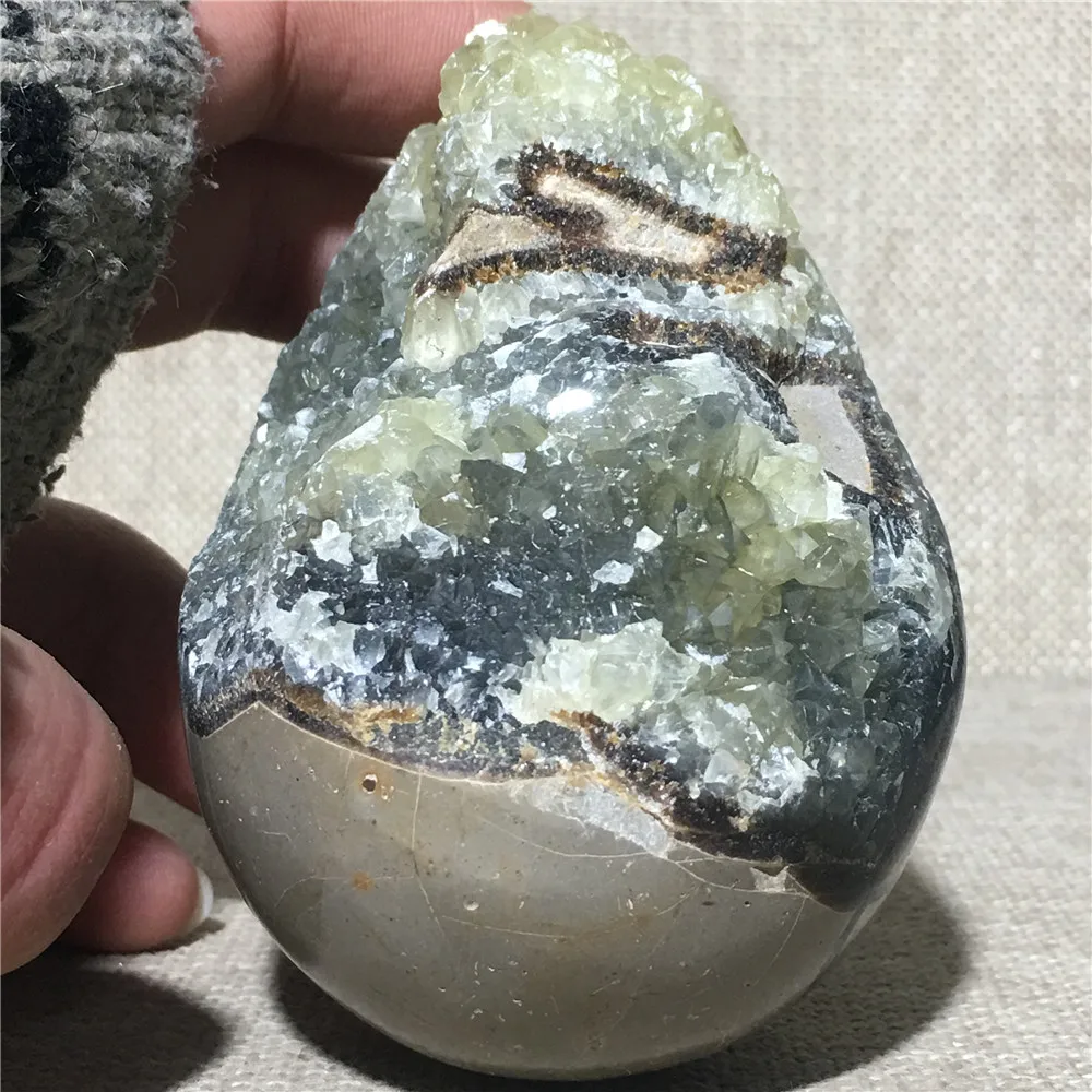 

Natural Septarium Quartz Crystal l Home Furnishing Wedding Decoration Stone Reiki Masters The Servants Gemstone Specimen Egg