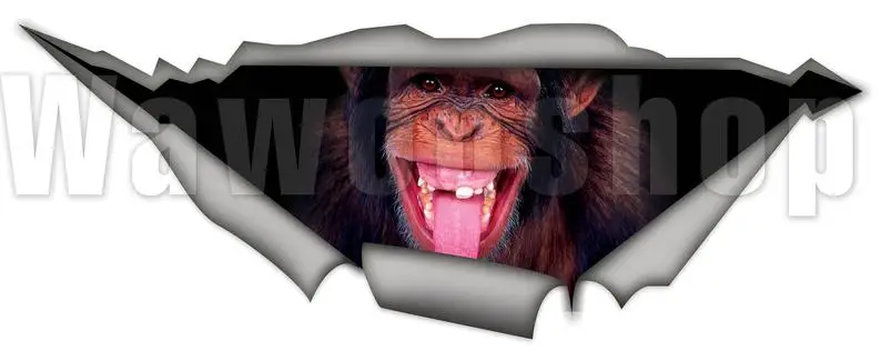 

2021 Monkey car Decal, funny car decal , animal Decal, Vinyl Decal