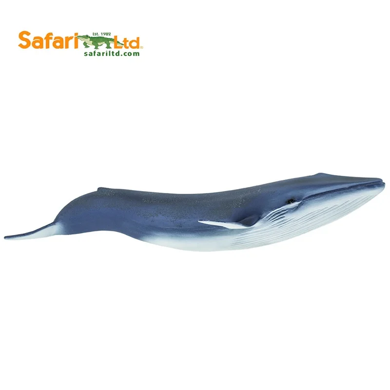 Balaenoptera Musculus синий кит Классические игрушки для мальчиков морской океан модель